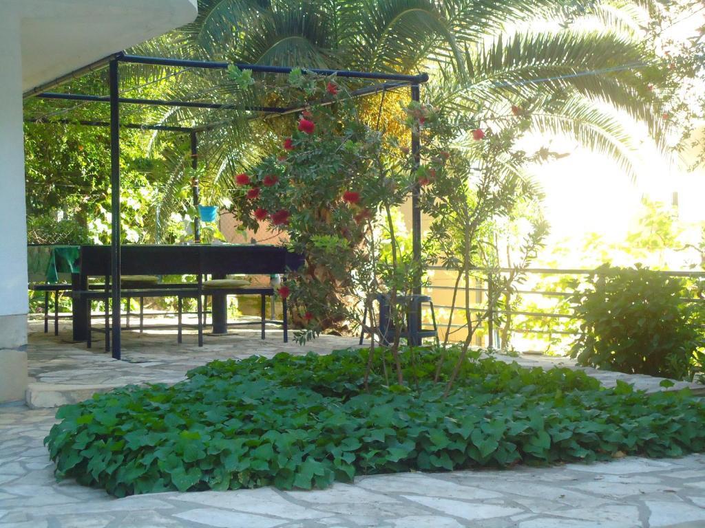 Apartments Villa Petranovic Будва Екстер'єр фото