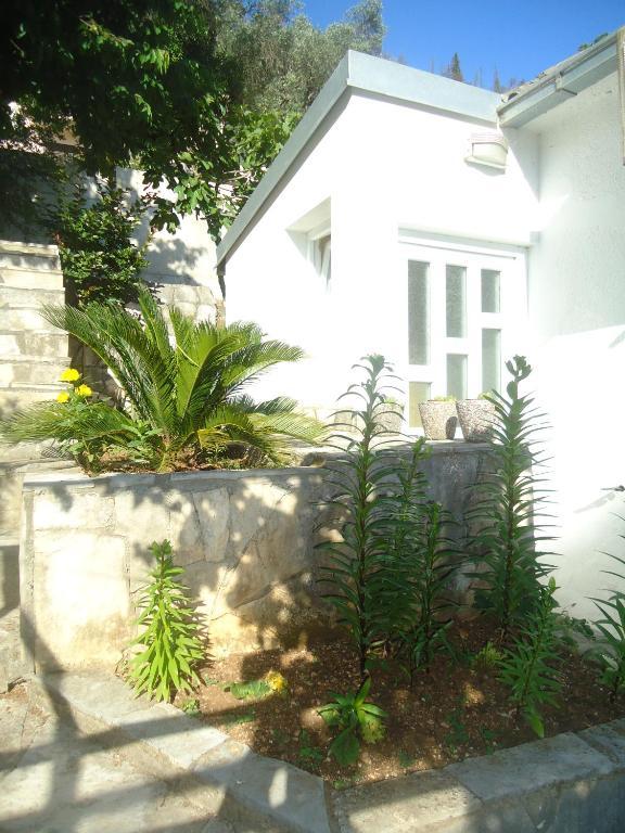 Apartments Villa Petranovic Будва Номер фото
