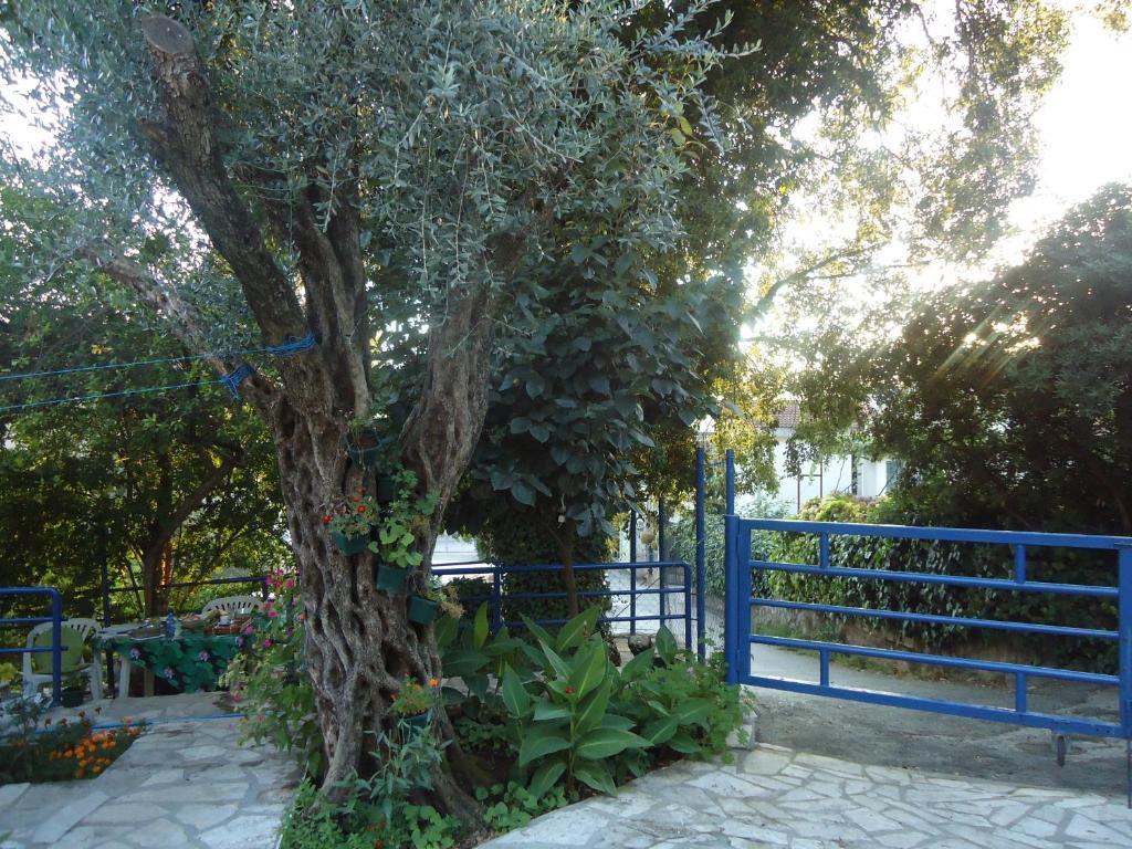 Apartments Villa Petranovic Будва Екстер'єр фото