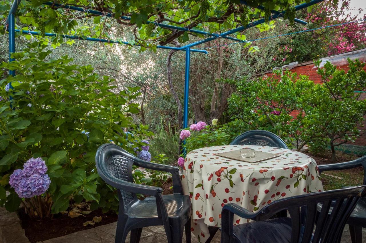 Apartments Villa Petranovic Будва Екстер'єр фото